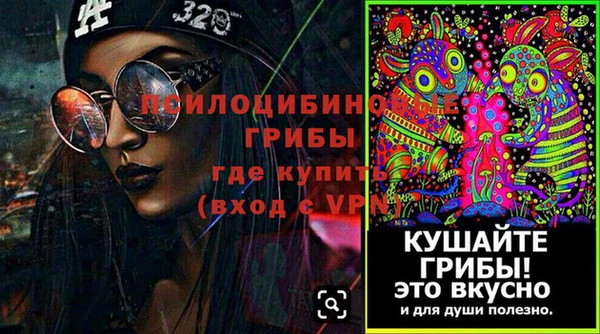 прущие крисы Алексеевка