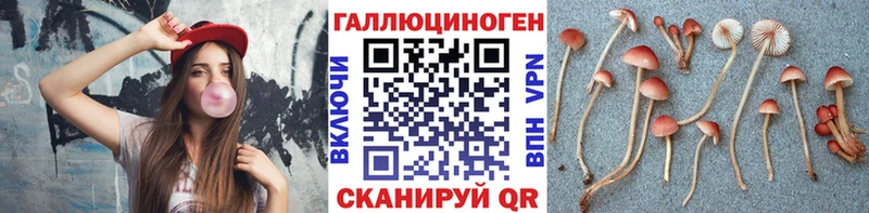 Галлюциногенные грибы мицелий  Купить  Бабаево 